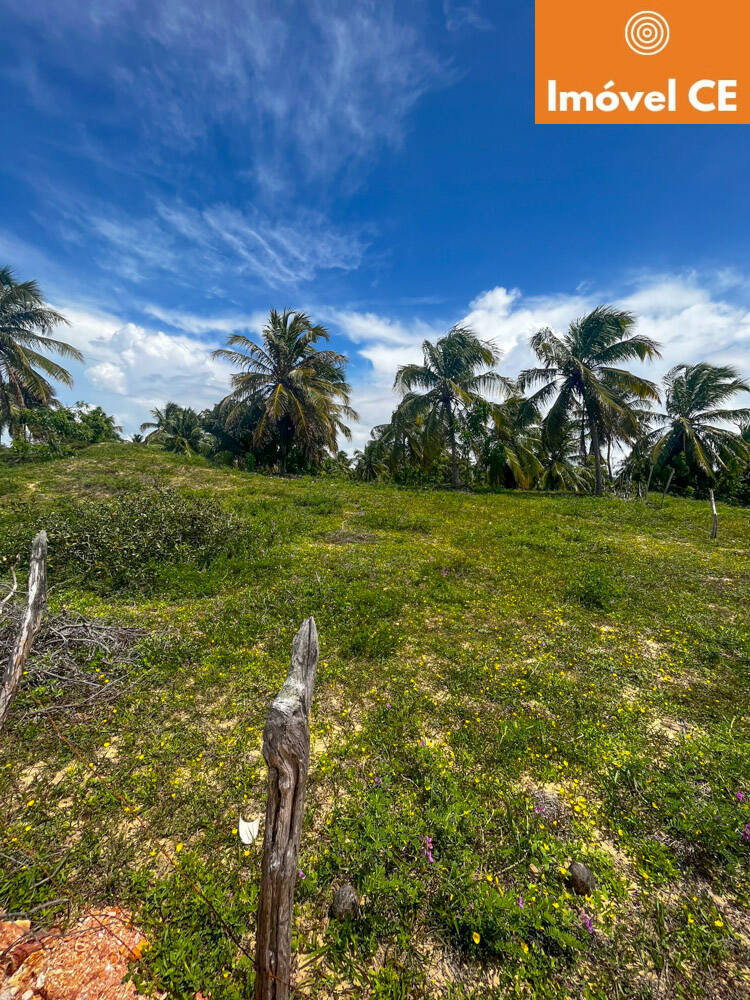 Terreno, 10000 m² - Foto 2