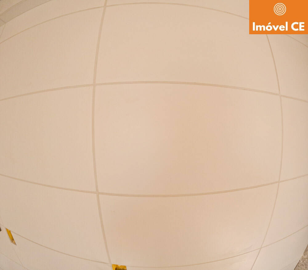 Apartamento à venda com 2 quartos, 110m² - Foto 4