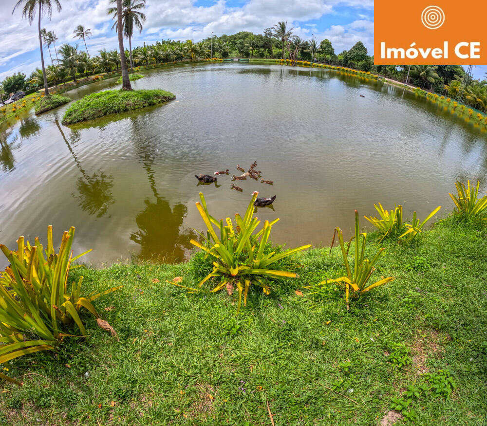 Terreno, 250 m² - Foto 9