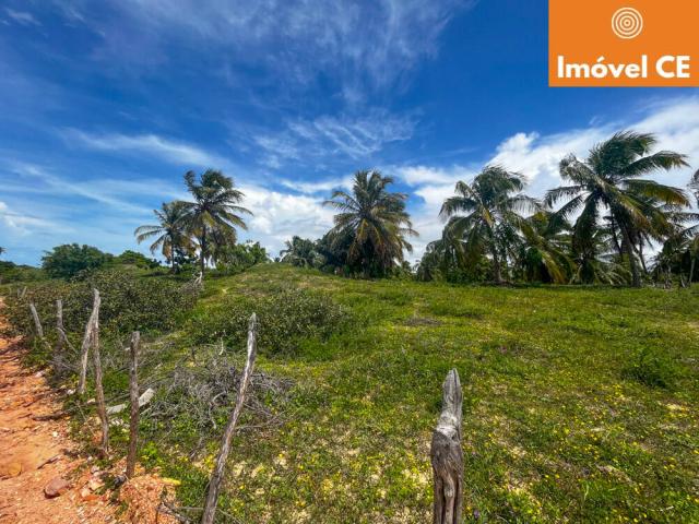 Venda em Praia de Flecheiras - Trairi