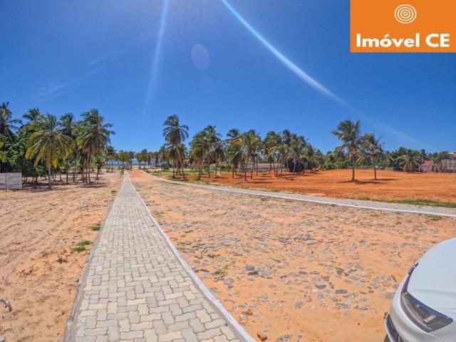 Venda em Praia de Flecheiras - Trairi