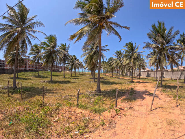 Área para Venda em Trairi - 5