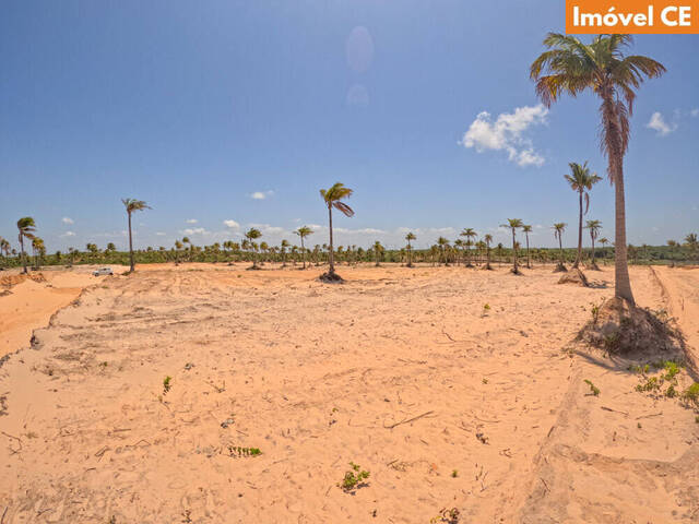 Área para Venda em Amontada - 5