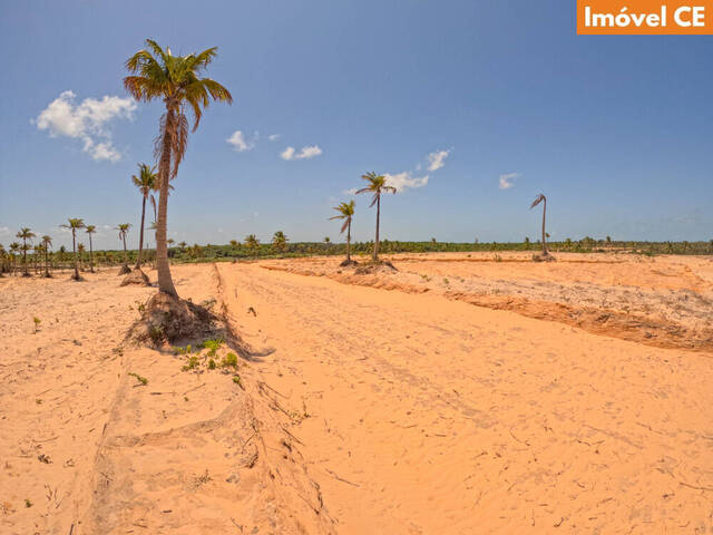 Área para Venda em Amontada - 4