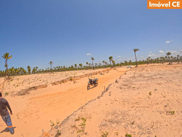 #206 - Área para Venda em Amontada - CE - 2