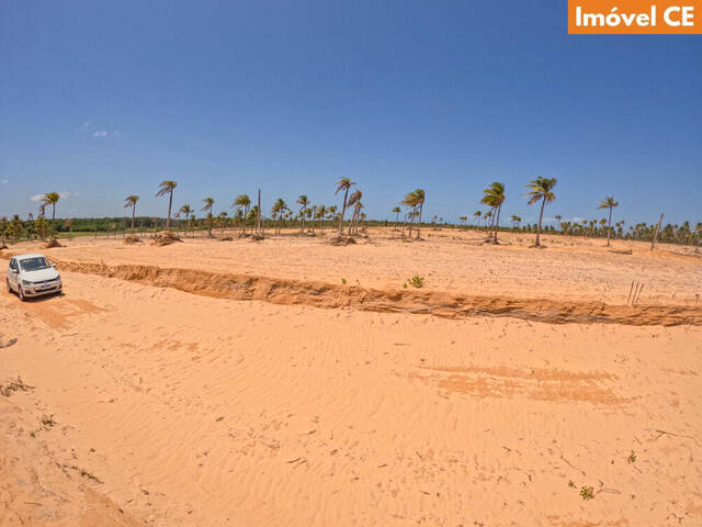 #206 - Área para Venda em Amontada - CE - 1