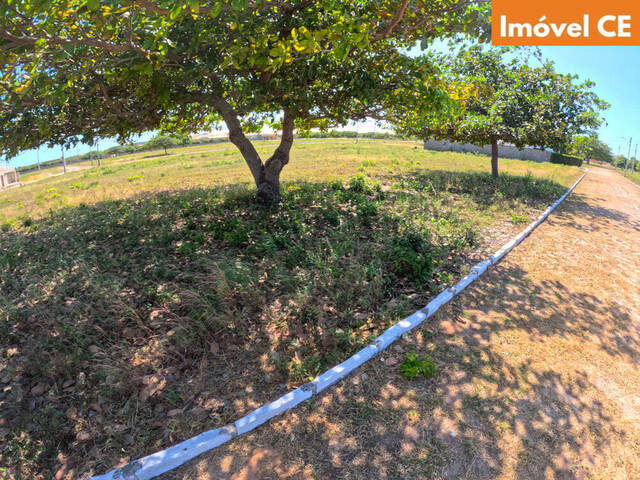 Área para Venda em Aracati - 4