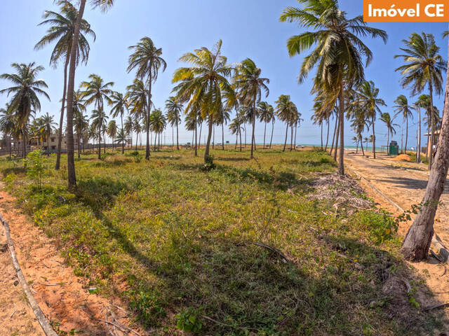 Venda em Praia de Flecheiras - Trairi