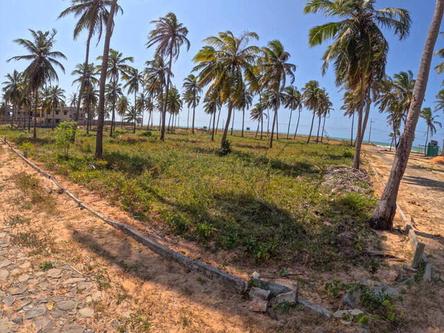 #238 - Área para Venda em Trairi - CE - 3