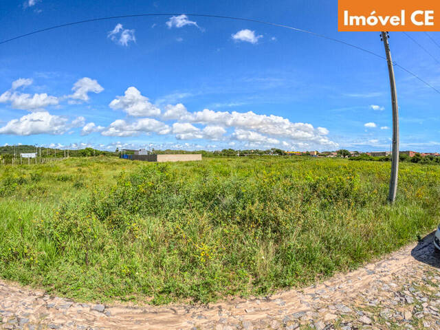 #364 - Área para Venda em São Gonçalo do Amarante - CE - 3