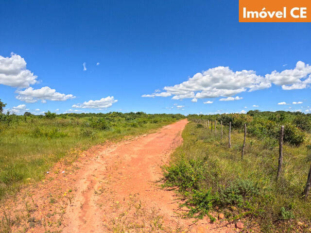 Área para Venda em São Gonçalo do Amarante - 4