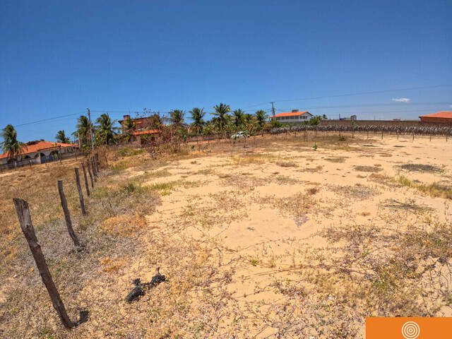 Área para Venda em São Gonçalo do Amarante - 4