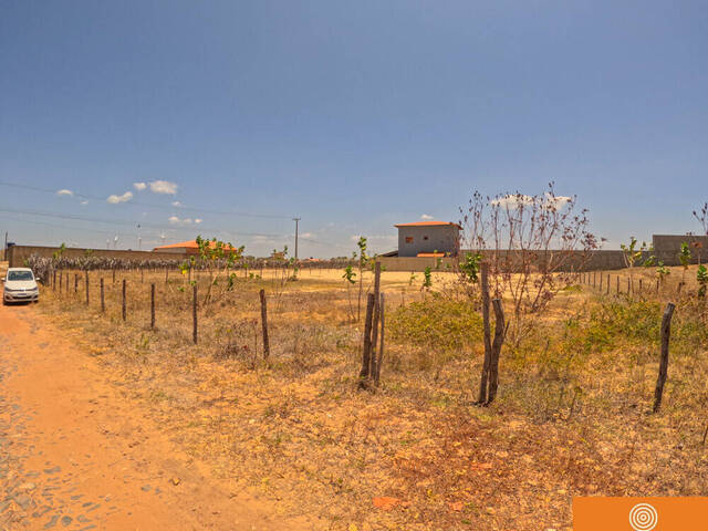 #419 - Área para Venda em São Gonçalo do Amarante - CE - 1