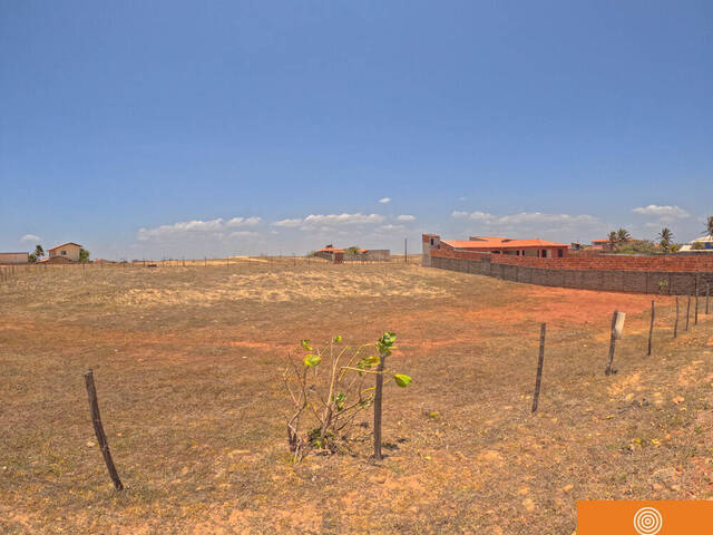Área para Venda em São Gonçalo do Amarante - 4